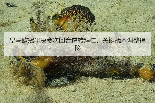 皇马欧冠半决赛次回合逆转拜仁，关键战术调整揭秘